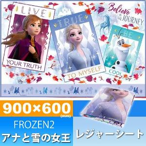 冰雪奇緣野餐墊/沙灘墊-90cmX60cm 防水材質