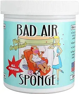 美國BAD AIR空氣淨化劑
